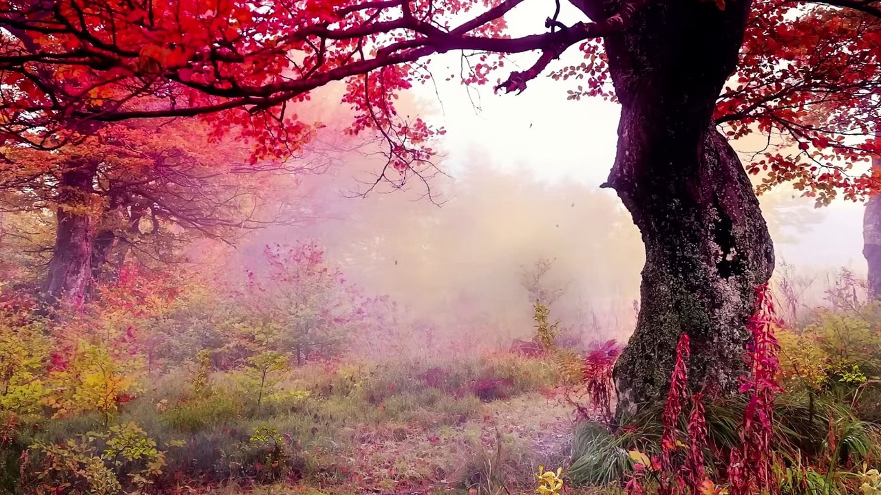 MELODÍAS DE CONCENTRACIÓN: MÚSICA ÓPTIMA PARA EL ESTUDIO INFANTIL