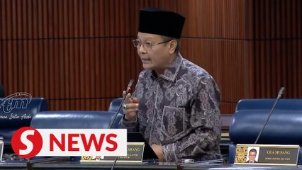 Party's constitutional change won't stop Bersatu MPs from supporting PM, says Tanjung Karang rep