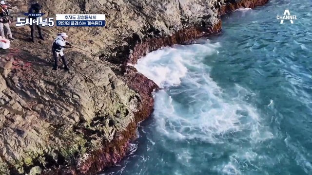 명인 등판♨ 5짜 감성돔 등장?! 클라쓰가 다른 박프로의 실력ㅋ