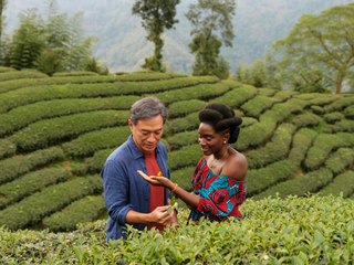 Black Tea: Trailer HD VO st FR/NL