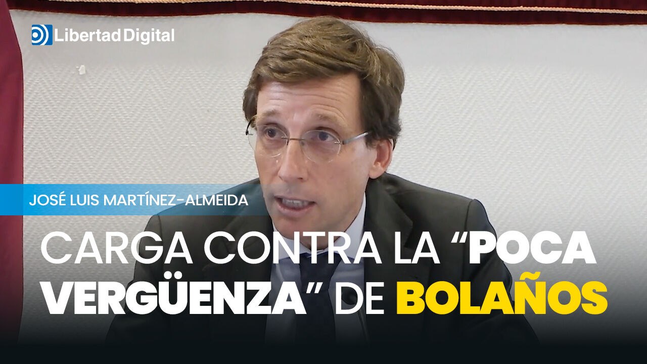 Almeida: "Unos pueden cometer delitos si ayudan...