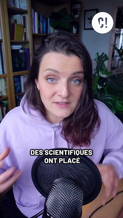 Les pigeons sont-ils stupides ?