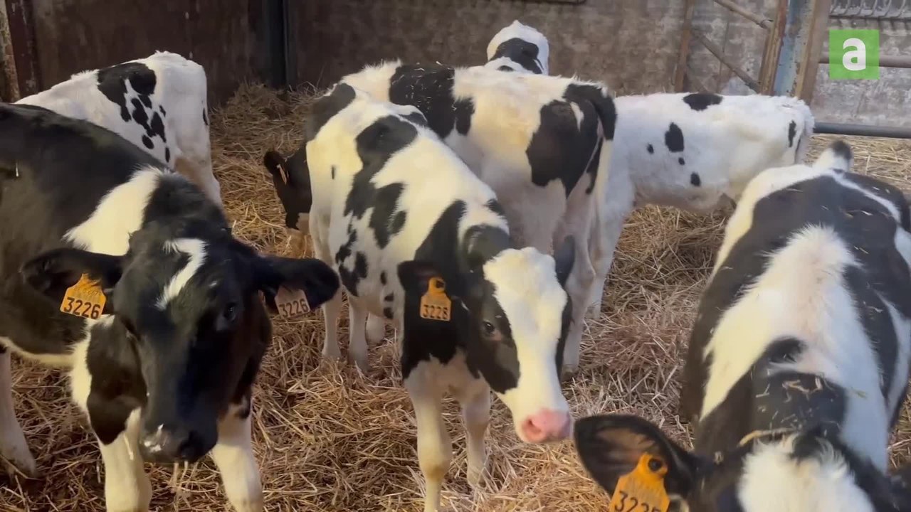 La Ferme Desbruyères
