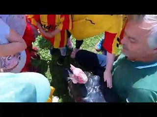 Haverskerque Final_1 640-480