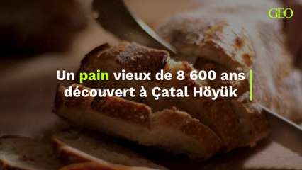 Un pain levé découvert à Çatal Höyük pourrait être le "plus ancien du monde", vieux de 8 600 ans