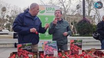 Agricultores andaluces regalan cientos de fresas en Sevilla para protestar contra los alimentos marroquíes
