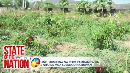 EPEKTO NG EL NIÑO ; TIPS TO BEAT THE HEAT | SONA