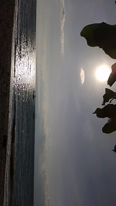 Dagat