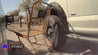 Man Hits My Tesla With Shopping Cart Caught on Tesla Sentry Mode | Teslcam Live