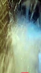 FDownloader.net-1041086266956965-(640p)