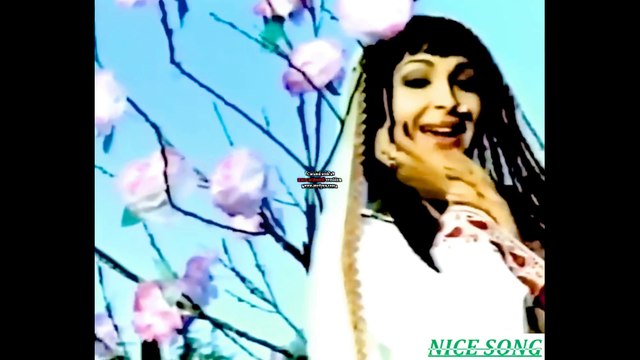 mera dilbar zaror Aayga 2 madam noor jahan gehrey zakham