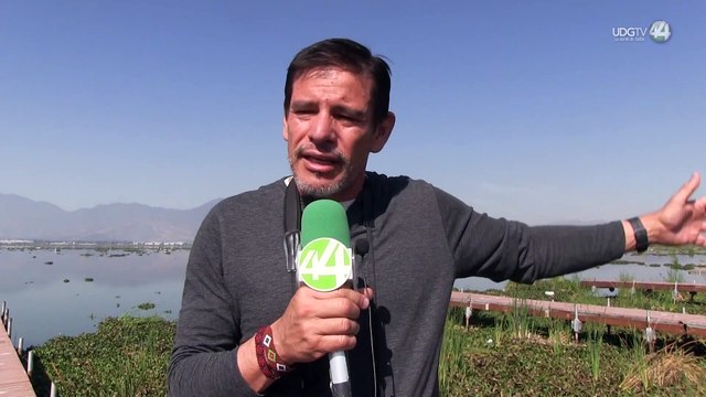 Zapotlán el Grande, un lugar que alberga más de la mitad de las aves que hay en Jalisco