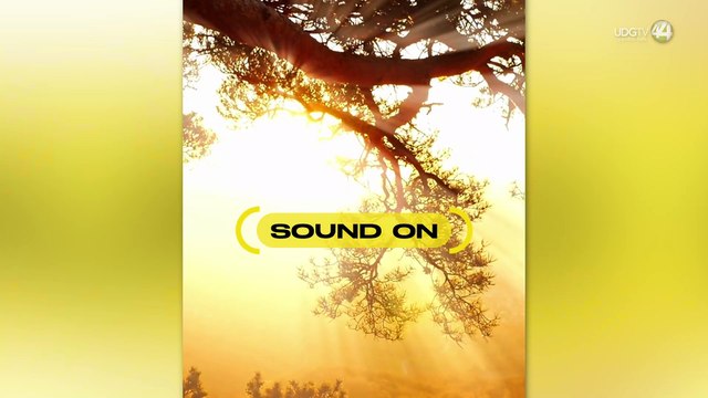 Stereo Brunch: el nuevo festival en Guadalajara con música y sabores locales