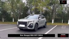 Received Engine Power and Transmission Upgrades, New Hongqi HS5 SUV 2024