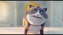 Un gato con suerte - Tráiler doblado latino