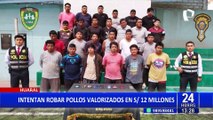 Detienen a 25 personas que intentaban robarse más de 500 mil pollos valorizados en S/12 millones