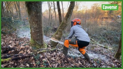 Thelma, de Libin, jeune bûcheronne à la “tête dure”