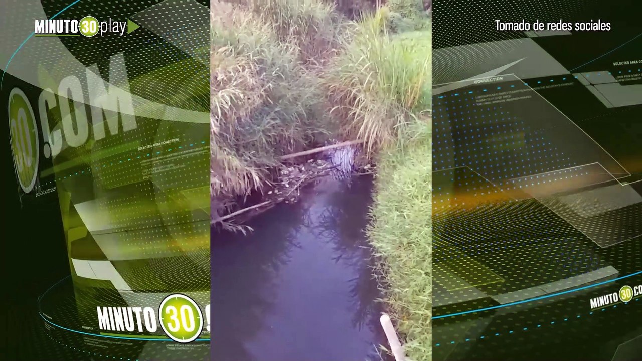 Cornare investiga mortandad de peces por contaminación en La Marinilla