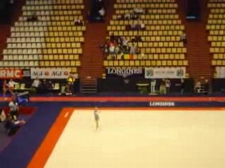 Championnat d'Europe de gymnastique 2008