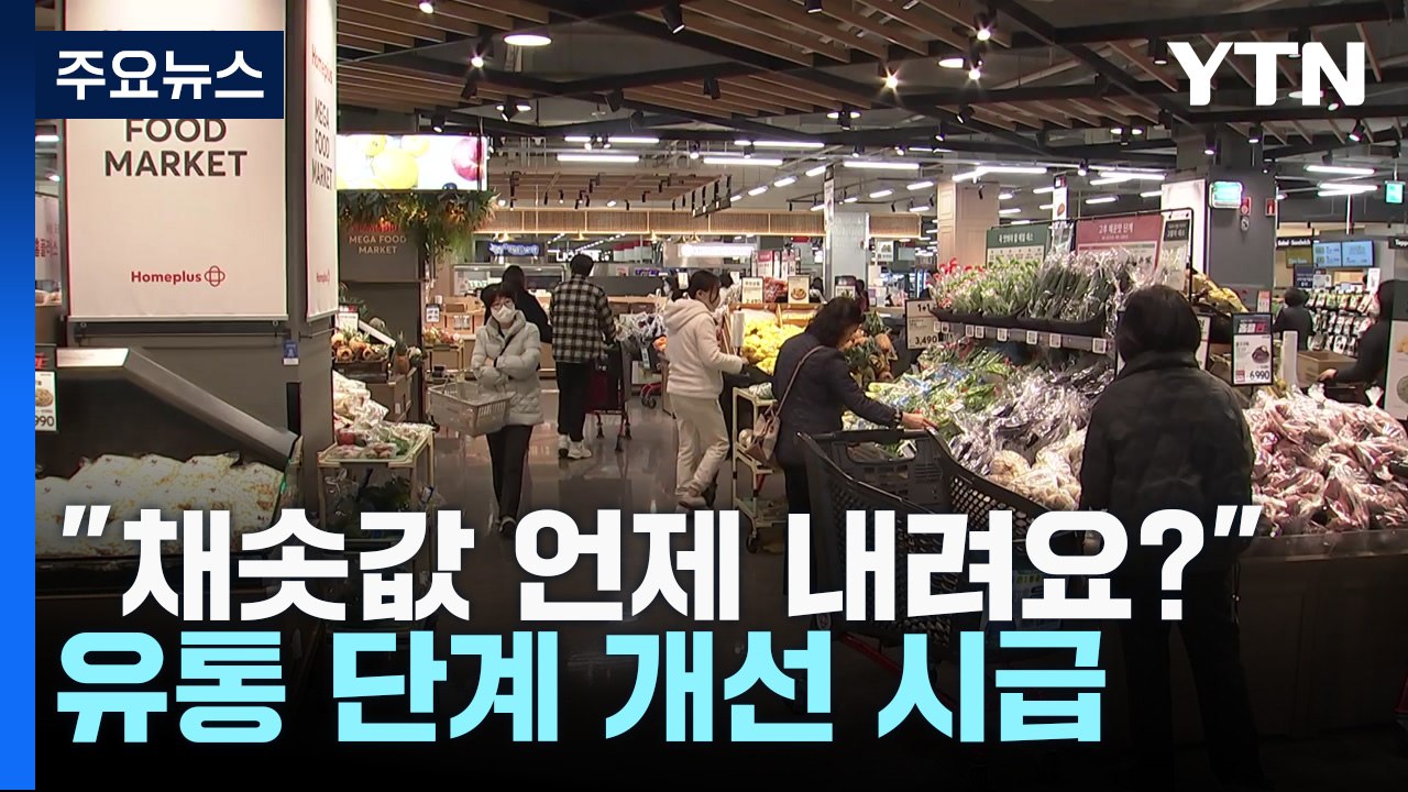 "채솟값 언제 내려요?"..유통 단계 개선 시급 / YTN