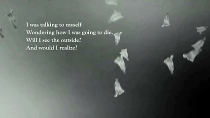 SHARON VAN ETTEN — When I Die (Lyric Video · 2022) ● Sharon Van Etten Music Video Collection DVD