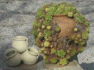 Recopilacion mi taller 8