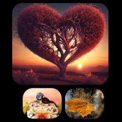 Io lo chiamo amoreGiovanna Balsamo                   ♥️♥️♥️