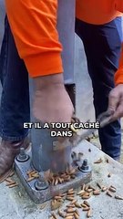 Adieu petit écureuil