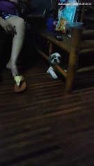 The drama king Bitoy. S'ya pa luge!