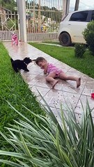 Pup Pulls Girl's Hair