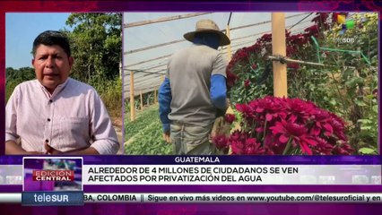 Más de 10.000 Floricultores son afectados por la privatización del agua en Guatemala