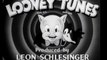 LOONEY TUNES  Confusions of a Nutzy Spy dvd  Cartoons  TIME MACHINE