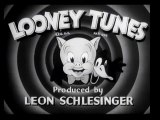 LOONEY TUNES  Confusions of a Nutzy Spy dvd  Cartoons  TIME MACHINE