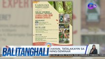 Pag-aalaga ng kawayan, tatalakayin sa 24th Bamboo Training/seminar | BT