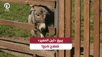 يبيع «لبن الحمير» كعلاج ناجع!