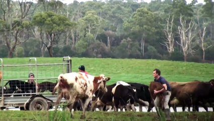 Dominion Bande-annonce (EN)