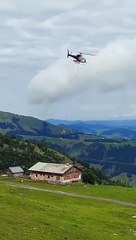 نقل بقرة بطريقة غير تقليدية لتلقي العلاج يثير الدهشة (فيديو)