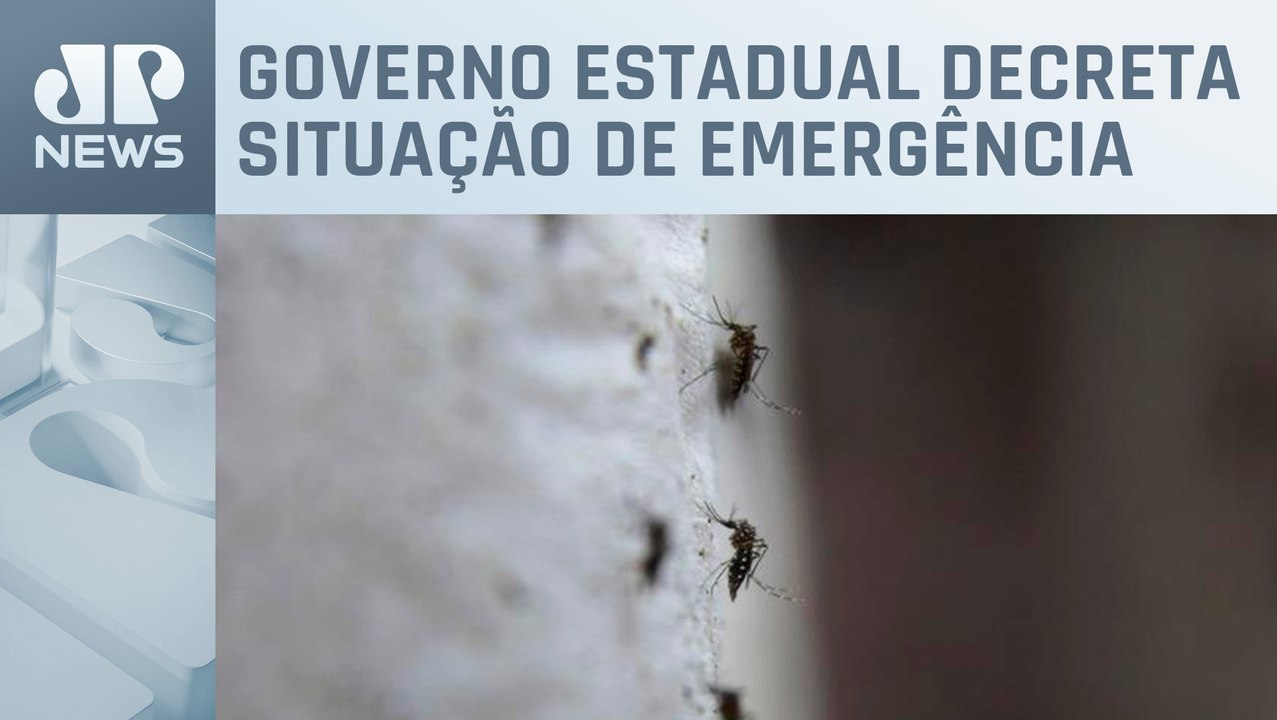 Guarulhos registra maior número de mortes por d...