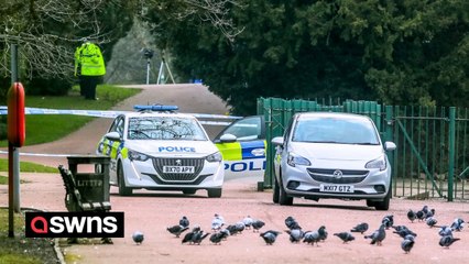 Murder hunt launched after teenage boy stabbed to death in park in broad daylight