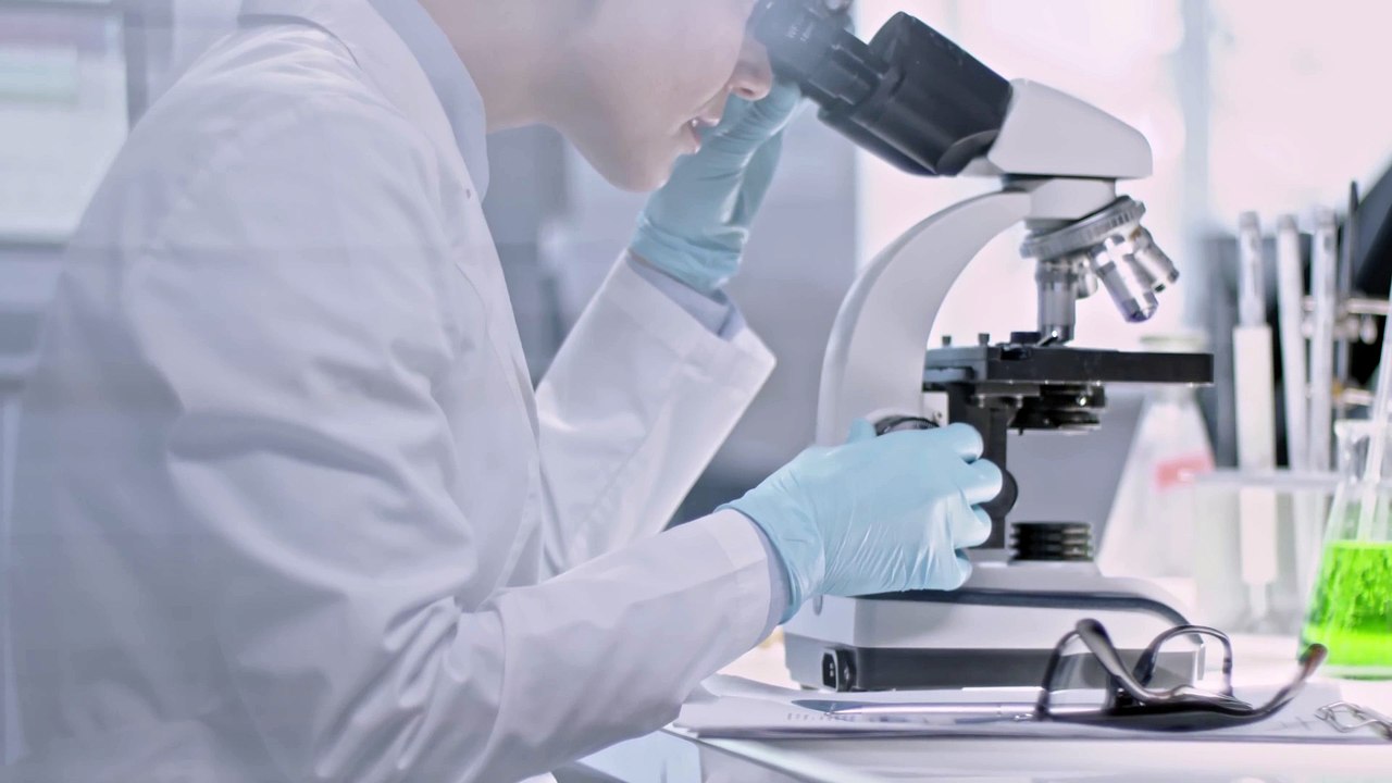 How High-Throughput Plate Templates Expedite Assay Development