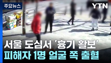 대낮 서울 도심서 '흉기 활보' 현행범 체포...1명 얼굴 다쳐 / YTN