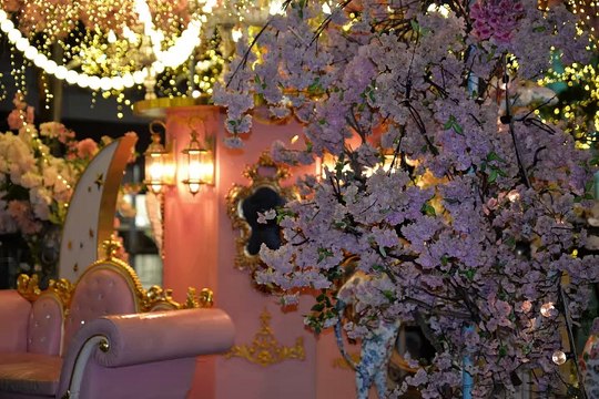 2024/2.3台灣巴士及日常攝影 1 bus & daily photography 1 #忠駝論壇 #fyp #bus #fypシ #train #railway #railroad