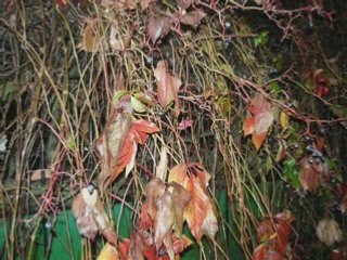 Recopilacion mi taller 10