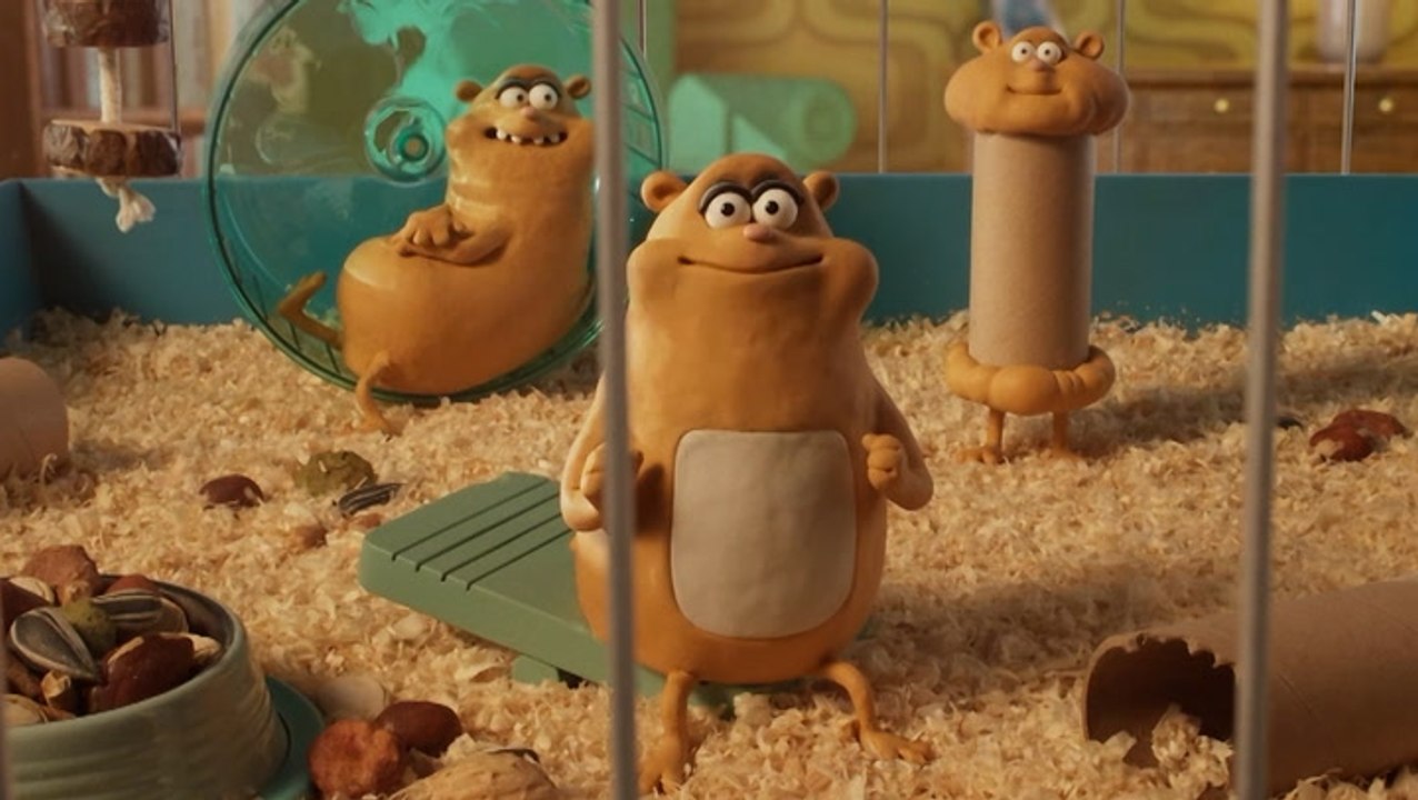 Films by Wallace and Gromit creators starring viewers from across UK to air on BBC