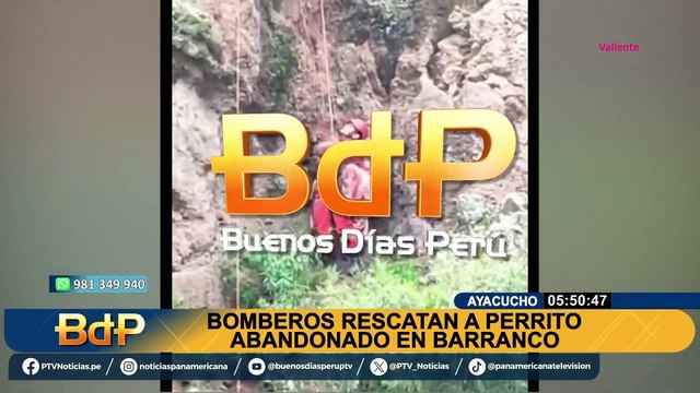 Bomberos rescataron a perrito que llevaba varios días atrapado en un barranco en Ayacucho