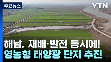 재배·발전을 동시에...해남 '영농형 태양광' 단지 추진 / YTN