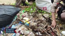 Ratusan Siswa Dan Guru Gelar Aksi Pungut Sampah Di Pantai