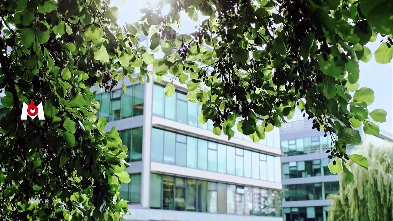 Bande-annonce de la saison 8 de "Mariés au premier regard" sur M6