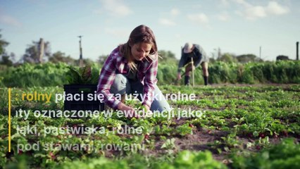 Podatek rolny w Polsce - zasady