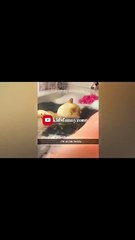 The Funniest Fails and Bloopers (Try Not to Laugh Challenge) part-38